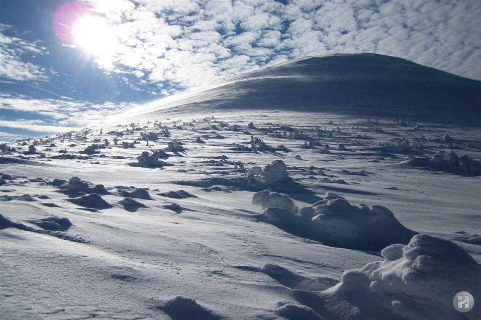Na Slunecni Pohadkova Chaloupka Ve Sladke Dire พรีโชวิเซ ห้อง รูปภาพ